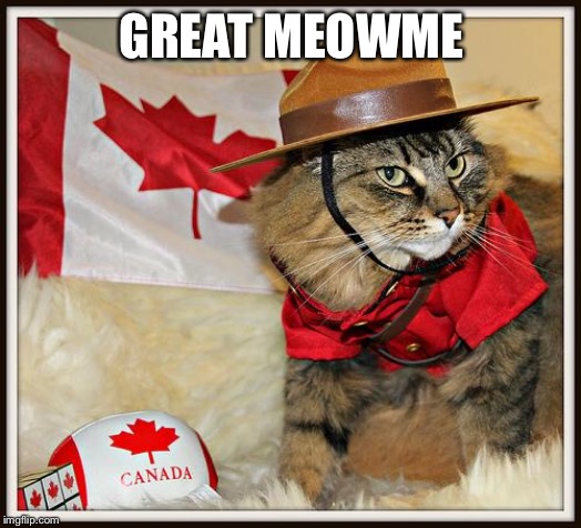 Canada Cat | GREAT MEOWME | image tagged in canada cat | made w/ Imgflip meme maker