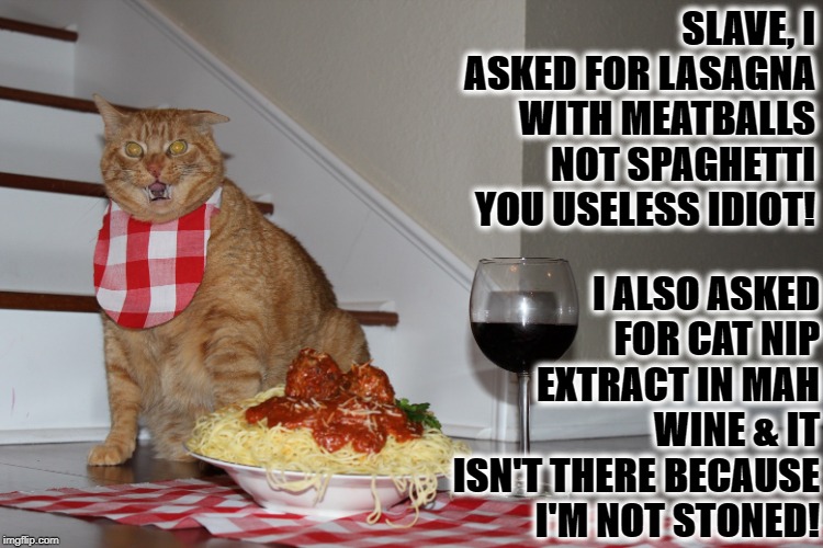 UNSATISFIED CAT | SLAVE, I ASKED FOR LASAGNA WITH MEATBALLS NOT SPAGHETTI YOU USELESS IDIOT! I ALSO ASKED FOR CAT NIP EXTRACT IN MAH WINE & IT ISN'T THERE BECAUSE I'M NOT STONED! | image tagged in unsatisfied cat | made w/ Imgflip meme maker