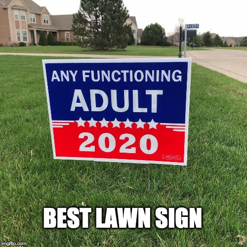 would be nice | BEST LAWN SIGN | image tagged in lawn sign,election 2020 | made w/ Imgflip meme maker