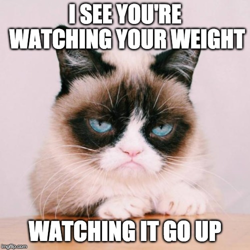 hey fatso! | I SEE YOU'RE WATCHING YOUR WEIGHT; WATCHING IT GO UP | image tagged in grumpy cat again,bad kitty,heavy matters | made w/ Imgflip meme maker