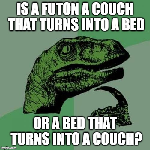 Philosoraptor | IS A FUTON A COUCH THAT TURNS INTO A BED; OR A BED THAT TURNS INTO A COUCH? | image tagged in memes,philosoraptor | made w/ Imgflip meme maker