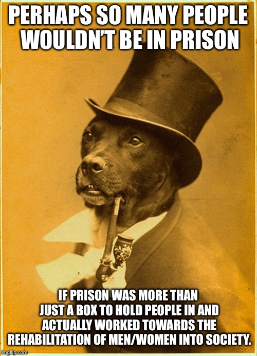 Dapper | PERHAPS SO MANY PEOPLE WOULDN’T BE IN PRISON IF PRISON WAS MORE THAN JUST A BOX TO HOLD PEOPLE IN AND ACTUALLY WORKED TOWARDS THE REHABILITA | image tagged in dapper | made w/ Imgflip meme maker