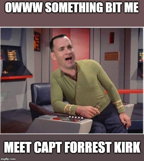 Capt Forrest Kirk | OWWW SOMETHING BIT ME; MEET CAPT FORREST KIRK | image tagged in capt forrest kirk | made w/ Imgflip meme maker