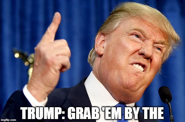 Donald Trump | TRUMP: GRAB 'EM BY THE | image tagged in donald trump | made w/ Imgflip meme maker