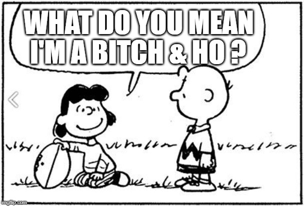 Charlie Brown football | WHAT DO YOU MEAN; I'M A BITCH & HO ? | image tagged in charlie brown football | made w/ Imgflip meme maker