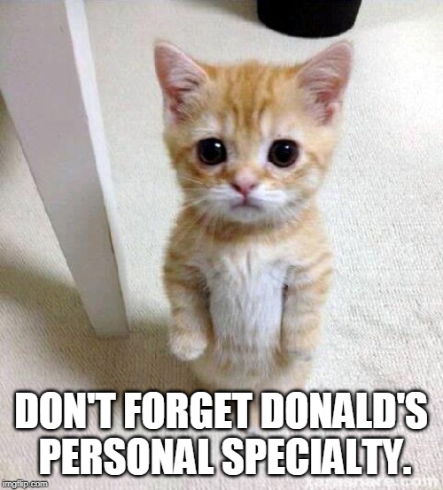 Cute Cat Meme | DON'T FORGET DONALD'S PERSONAL SPECIALTY. | image tagged in memes,cute cat | made w/ Imgflip meme maker