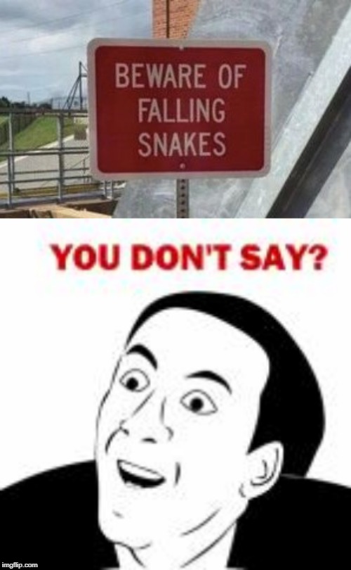 BEWARE OF FALLING SNAKES | image tagged in you don't say | made w/ Imgflip meme maker