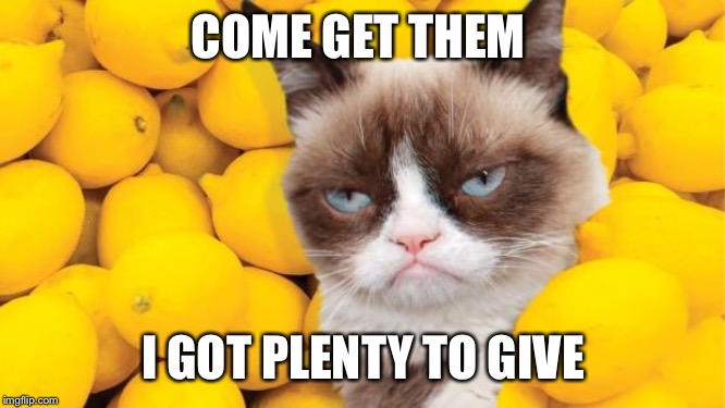 Grumpy Cat lemons | COME GET THEM I GOT PLENTY TO GIVE | image tagged in grumpy cat lemons | made w/ Imgflip meme maker