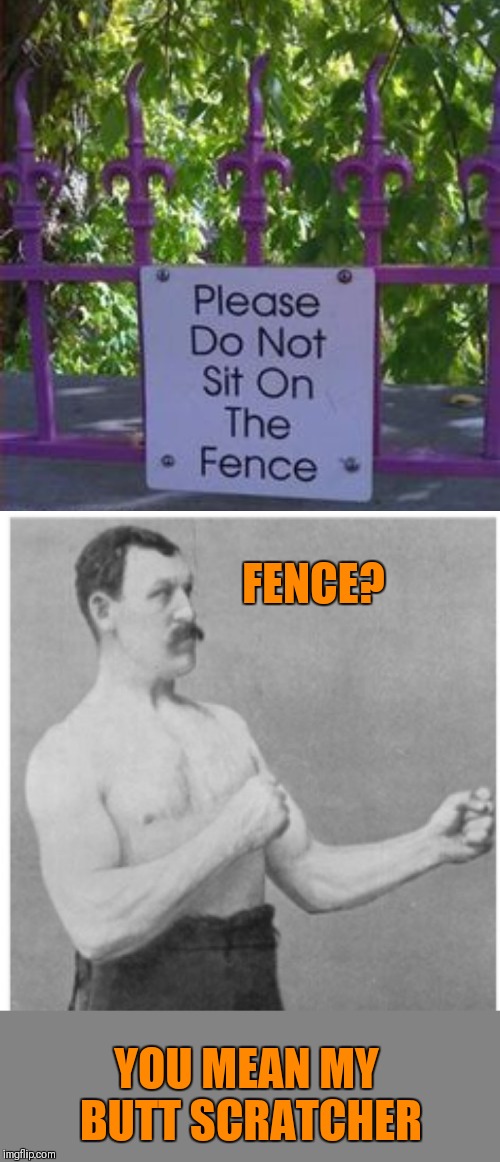 You don't say? | FENCE? YOU MEAN MY BUTT SCRATCHER | image tagged in memes,overly manly man,you don't say,captain obvious,funny,44colt | made w/ Imgflip meme maker