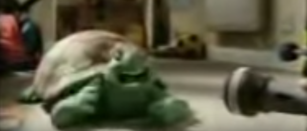 High Quality Turtle song persian language Blank Meme Template