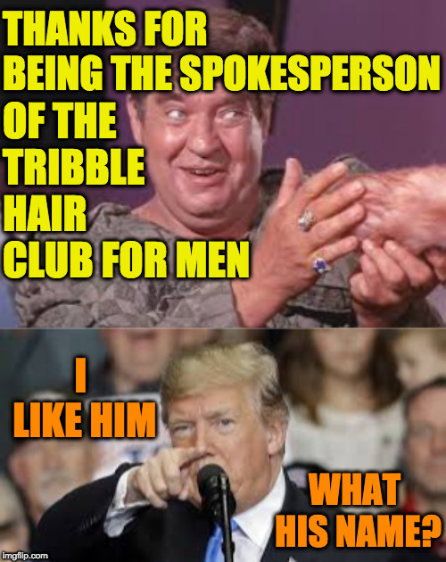 He's not just the spokesperson.  He's the "President". | OF THE TRIBBLE HAIR CLUB FOR MEN; THANKS FOR BEING THE SPOKESPERSON; I LIKE HIM; WHAT HIS NAME? | image tagged in memes,trump,tribbles,cyrano jones,star trek,trump trek | made w/ Imgflip meme maker