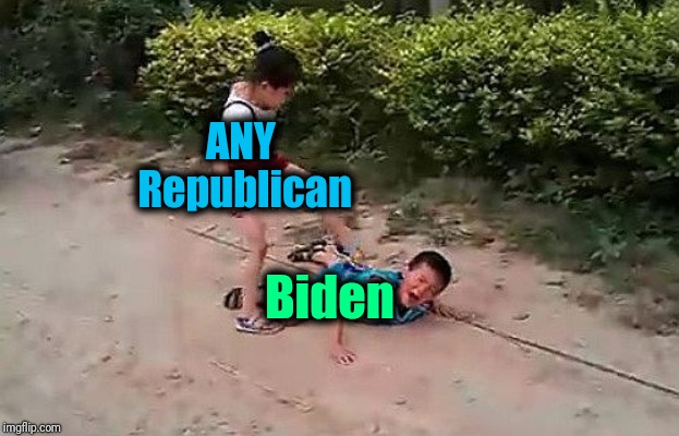 fight | ANY Republican Biden | image tagged in fight | made w/ Imgflip meme maker