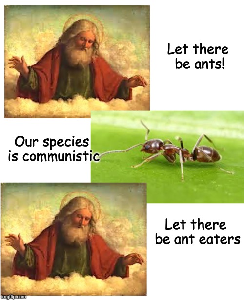 The Natural Balance of Things | Let there be ants! Our species is communistic; Let there be ant eaters | image tagged in god,creation,balance | made w/ Imgflip meme maker