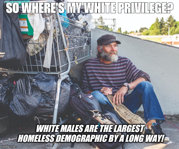 White privilege | SO WHERE'S MY WHITE PRIVILEGE? WHITE MALES ARE THE LARGEST HOMELESS DEMOGRAPHIC BY A LONG WAY! | image tagged in fakenews,white privlege | made w/ Imgflip meme maker