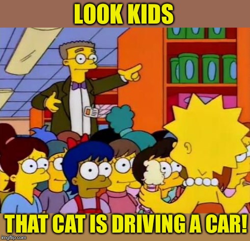 smithers | LOOK KIDS THAT CAT IS DRIVING A CAR! | image tagged in smithers | made w/ Imgflip meme maker