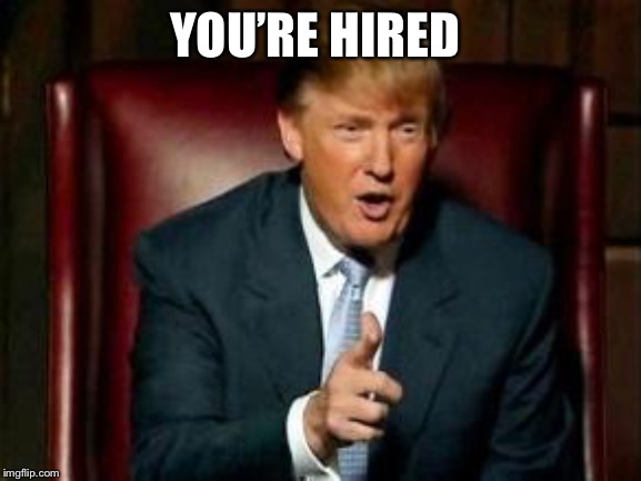 Donald Trump | YOU’RE HIRED | image tagged in donald trump | made w/ Imgflip meme maker