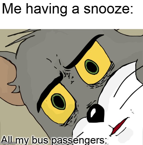 Meme | Me having a snooze:; All my bus passengers: | image tagged in memes,unsettled tom | made w/ Imgflip meme maker