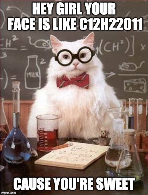 Science Cat Good Day | HEY GIRL YOUR FACE IS LIKE C12H22O11; CAUSE YOU'RE SWEET | image tagged in science cat good day | made w/ Imgflip meme maker