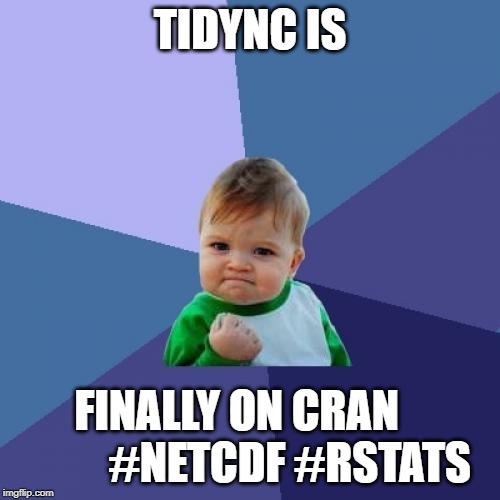 Success Kid | TIDYNC IS; FINALLY ON CRAN
           #NETCDF #RSTATS | image tagged in memes,success kid | made w/ Imgflip meme maker