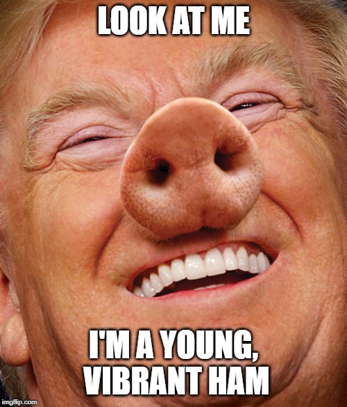 Trump Pig | LOOK AT ME; I'M A YOUNG, VIBRANT HAM | image tagged in trump pig | made w/ Imgflip meme maker