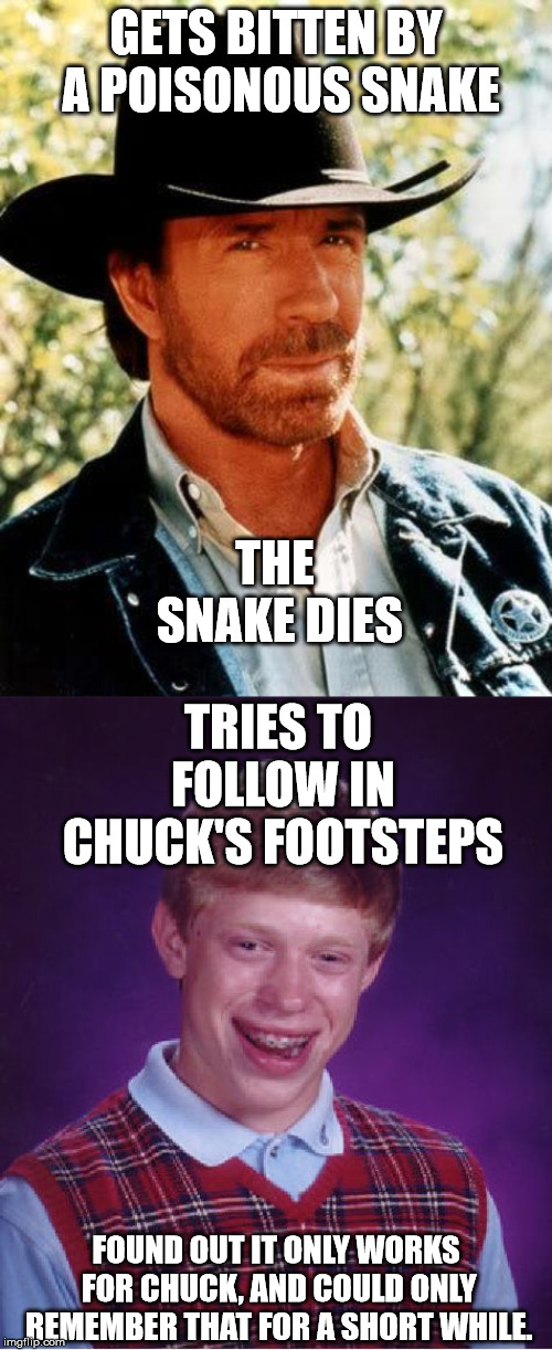 GETS BITTEN BY A POISONOUS SNAKE; THE SNAKE DIES; TRIES TO FOLLOW IN CHUCK'S FOOTSTEPS; FOUND OUT IT ONLY WORKS FOR CHUCK, AND COULD ONLY REMEMBER THAT FOR A SHORT WHILE. | image tagged in memes,bad luck brian,chuck norris | made w/ Imgflip meme maker