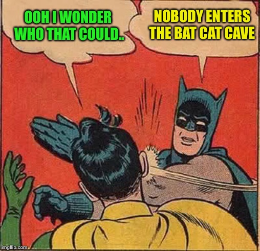 Batman Slapping Robin Meme | OOH I WONDER WHO THAT COULD.. NOBODY ENTERS THE BAT CAT CAVE | image tagged in memes,batman slapping robin | made w/ Imgflip meme maker