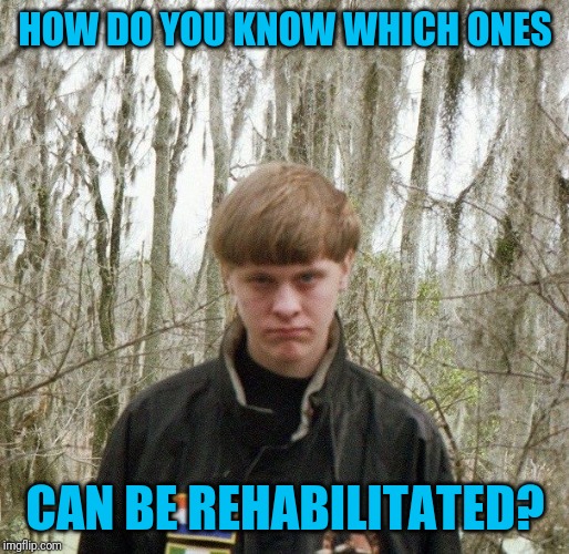 dylan roof | HOW DO YOU KNOW WHICH ONES CAN BE REHABILITATED? | image tagged in dylan roof | made w/ Imgflip meme maker