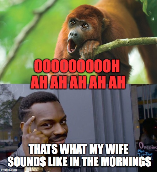 OOOOOOOOOH AH AH AH AH AH; THATS WHAT MY WIFE SOUNDS LIKE IN THE MORNINGS | image tagged in memes,roll safe think about it,howler monkey | made w/ Imgflip meme maker