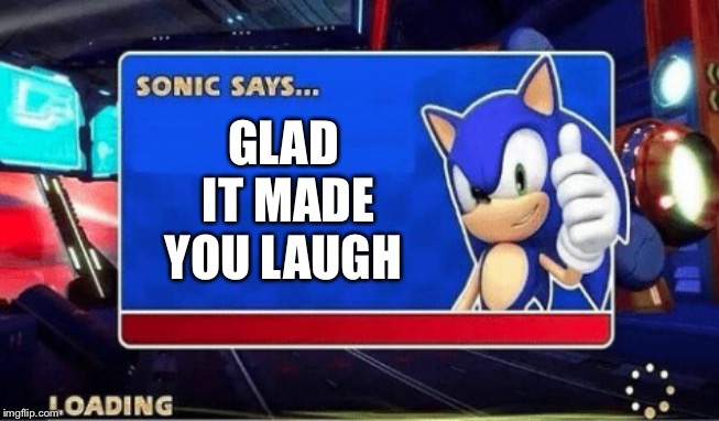 Sonic Says | GLAD IT MADE YOU LAUGH | image tagged in sonic says | made w/ Imgflip meme maker