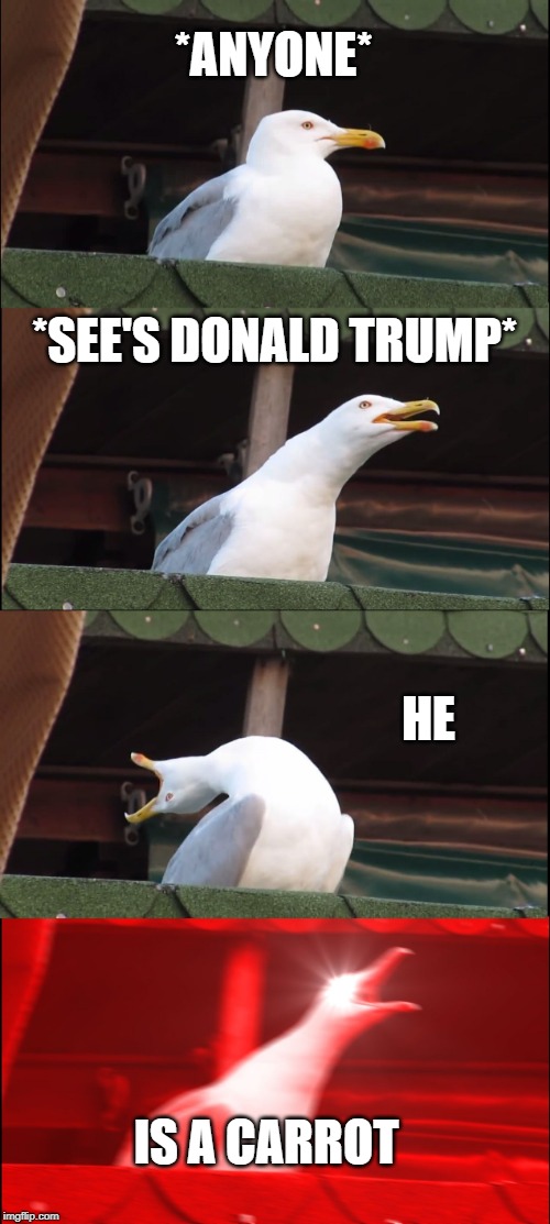 Inhaling Seagull | *ANYONE*; *SEE'S DONALD TRUMP*; HE; IS A CARROT | image tagged in memes,inhaling seagull | made w/ Imgflip meme maker