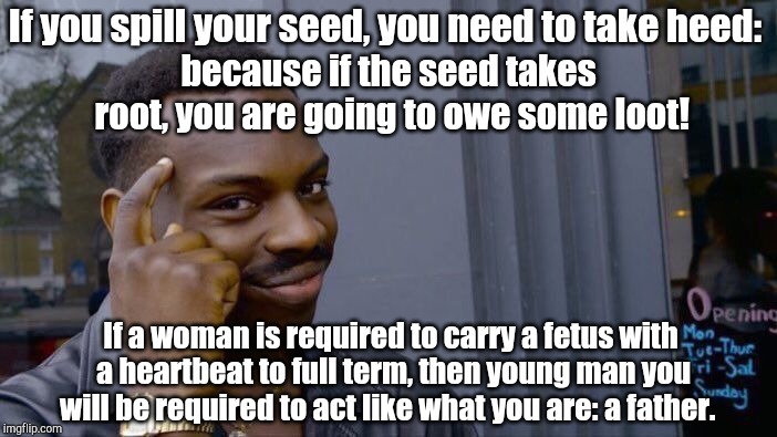 Roll Safe Think About It Meme | If you spill your seed, you need to take heed:; because if the seed takes root, you are going to owe some loot! If a woman is required to carry a fetus with a heartbeat to full term, then young man you will be required to act like what you are: a father. | image tagged in memes,roll safe think about it | made w/ Imgflip meme maker
