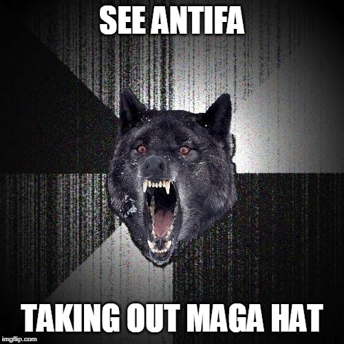 Insanity Wolf | SEE ANTIFA; TAKING OUT MAGA HAT | image tagged in memes,insanity wolf | made w/ Imgflip meme maker