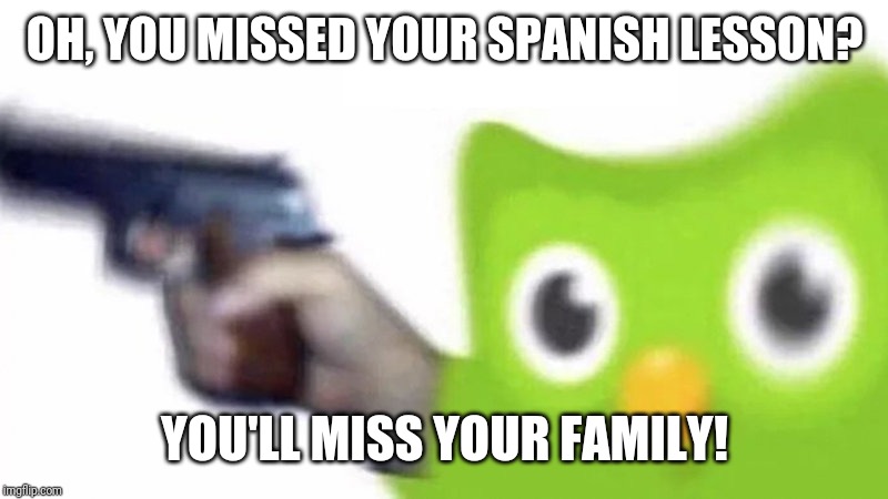 duolingo gun | OH, YOU MISSED YOUR SPANISH LESSON? YOU'LL MISS YOUR FAMILY! | image tagged in duolingo gun,duolingo,memes | made w/ Imgflip meme maker