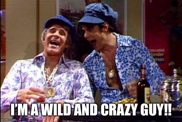 Wild and crazy guys snl | I’M A WILD AND CRAZY GUY!! | image tagged in wild and crazy guys snl | made w/ Imgflip meme maker