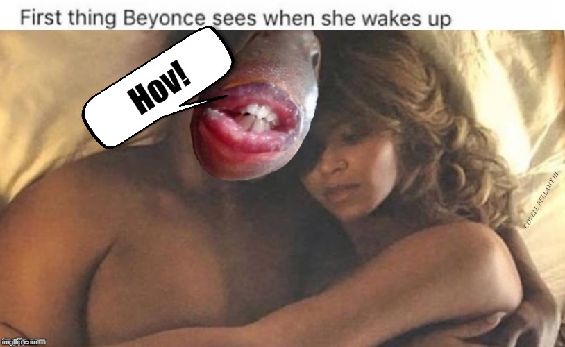 Hov! COVELL BELLAMY III | image tagged in beyonce morning | made w/ Imgflip meme maker