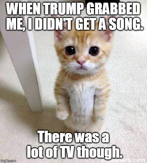 Cute Cat Meme | WHEN TRUMP GRABBED ME, I DIDN'T GET A SONG. There was a lot of TV though. | image tagged in memes,cute cat | made w/ Imgflip meme maker