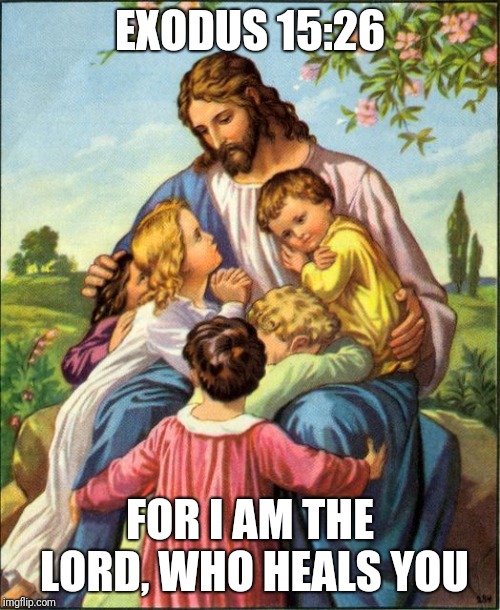 Jesus the Healer | EXODUS 15:26; FOR I AM THE LORD, WHO HEALS YOU | image tagged in catholic,sick,health,jesus christ,the most interesting man in the world,one does not simply | made w/ Imgflip meme maker