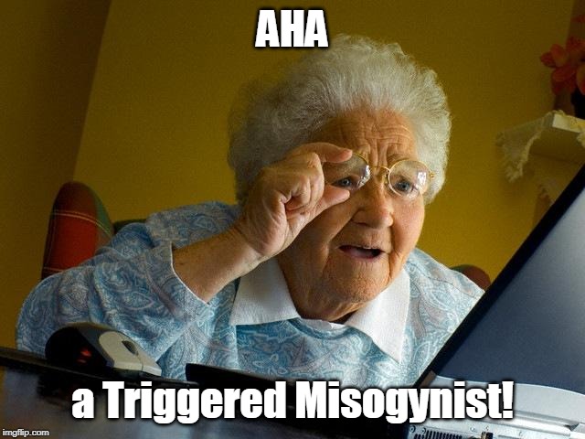 Grandma Finds The Internet Meme | AHA a Triggered Misogynist! | image tagged in memes,grandma finds the internet | made w/ Imgflip meme maker