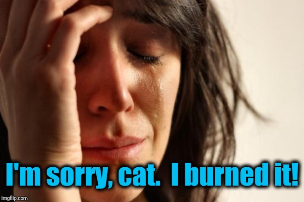 First World Problems Meme | I'm sorry, cat.  I burned it! | image tagged in memes,first world problems | made w/ Imgflip meme maker