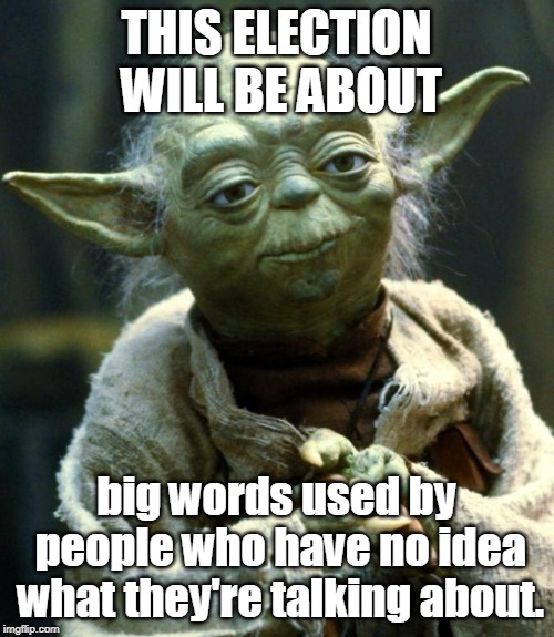 Star Wars Yoda Meme | THIS ELECTION WILL BE ABOUT big words used by people who have no idea what they're talking about. | image tagged in memes,star wars yoda | made w/ Imgflip meme maker