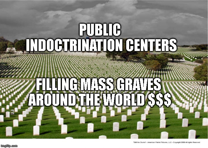 Black Lives Matter | PUBLIC INDOCTRINATION CENTERS; FILLING MASS GRAVES AROUND THE WORLD $$$ | image tagged in black lives matter | made w/ Imgflip meme maker