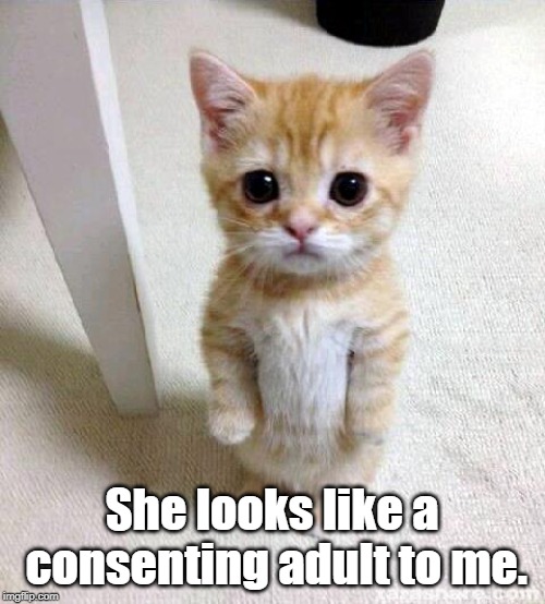 Cute Cat Meme | She looks like a consenting adult to me. | image tagged in memes,cute cat | made w/ Imgflip meme maker