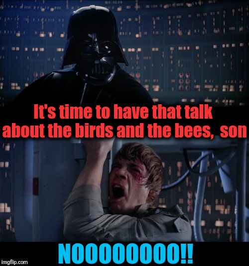 LOL! I wonder if parents still do that | It's time to have that talk about the birds and the bees,  son; NOOOOOOOO!! | image tagged in memes,star wars no | made w/ Imgflip meme maker