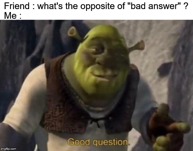 Shrek good question | Friend : what's the opposite of "bad answer" ? Me : | image tagged in shrek good question | made w/ Imgflip meme maker