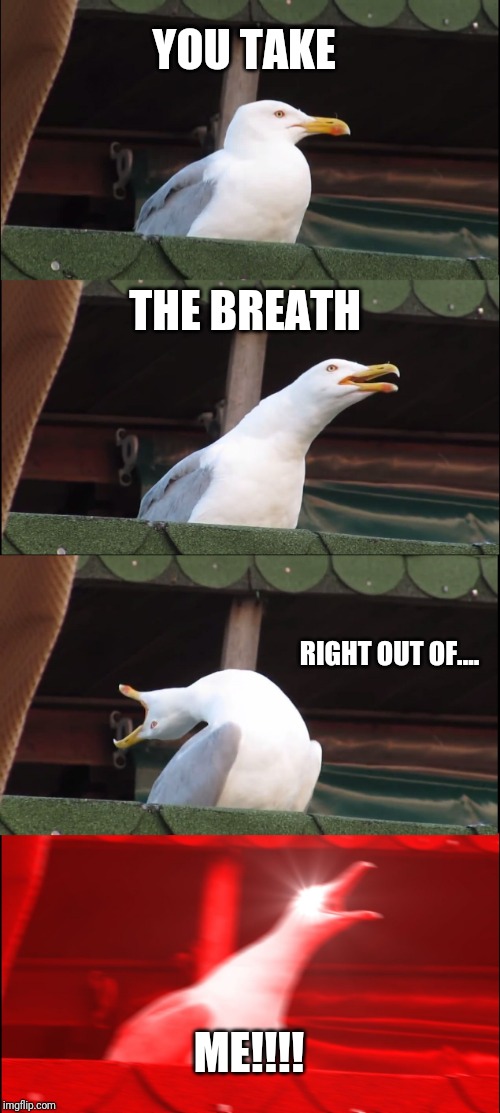 Seagull Benjamin | YOU TAKE; THE BREATH; RIGHT OUT OF.... ME!!!! | image tagged in memes,inhaling seagull | made w/ Imgflip meme maker