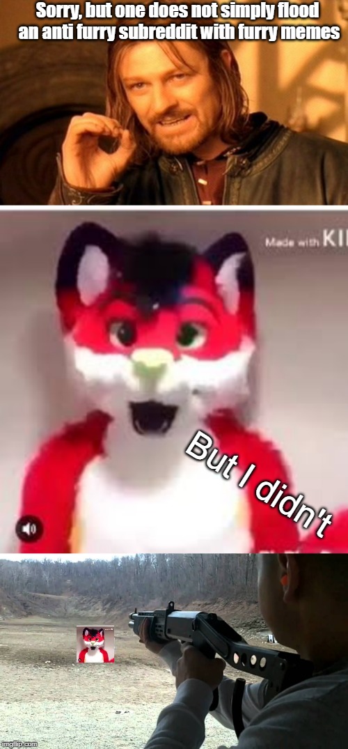 One does not simply overrun an anti furry subreddit with furry memes | Sorry, but one does not simply flood an anti furry subreddit with furry memes; But I didn't | image tagged in memes,one does not simply,anti furry | made w/ Imgflip meme maker
