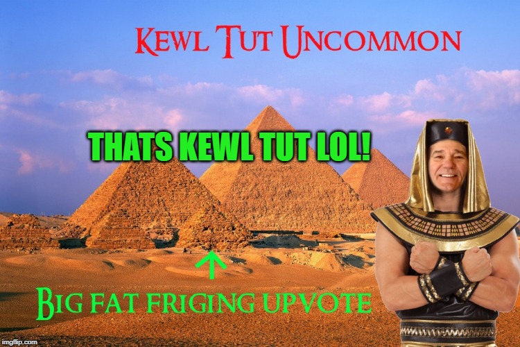kewl tut uncommon | THATS KEWL TUT LOL! | image tagged in kewl tut uncommon | made w/ Imgflip meme maker