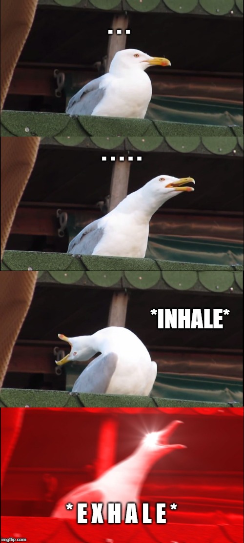 Inhaling Seagull | . . . . . . . . *INHALE*; * E X H A L E * | image tagged in memes,inhaling seagull | made w/ Imgflip meme maker