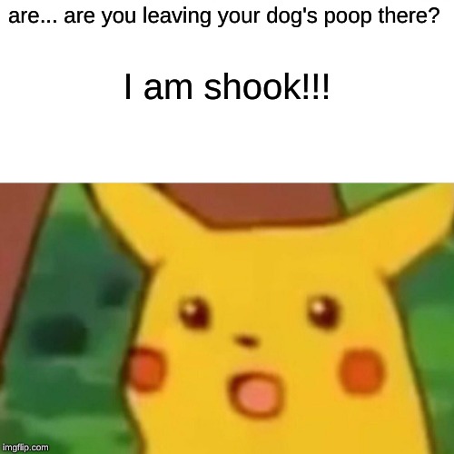 Surprised Pikachu | are... are you leaving your dog's poop there? I am shook!!! | image tagged in memes,surprised pikachu | made w/ Imgflip meme maker