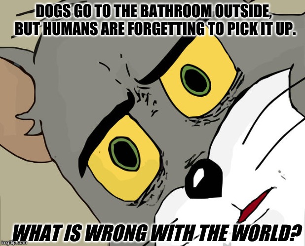 Unsettled Tom | DOGS GO TO THE BATHROOM OUTSIDE, BUT HUMANS ARE FORGETTING TO PICK IT UP. WHAT IS WRONG WITH THE WORLD? | image tagged in memes,unsettled tom | made w/ Imgflip meme maker